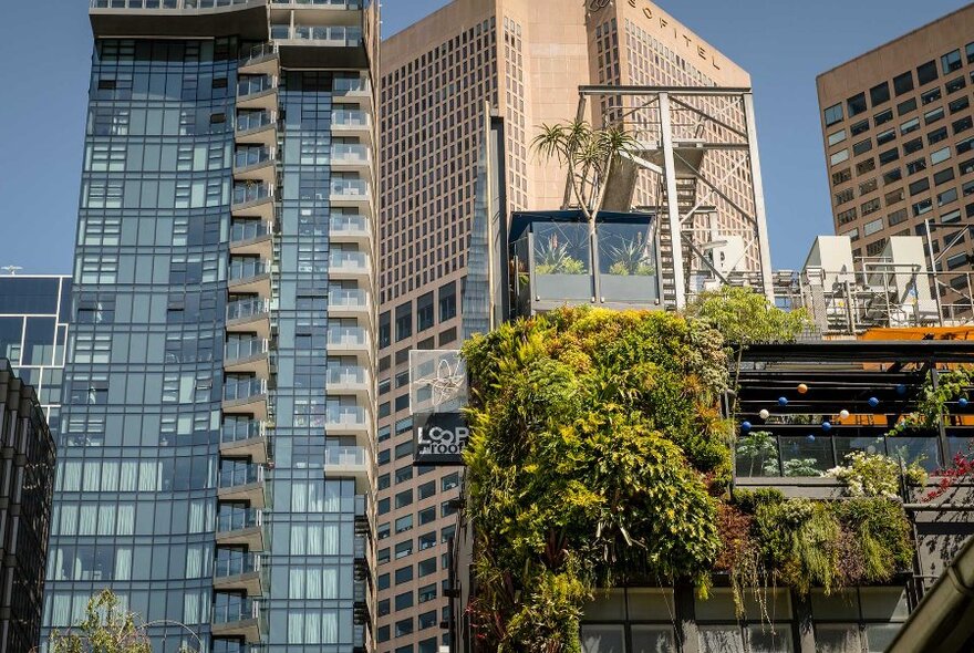 The two level Loop Roof bar with lush foliage cascading down across two levels;set against a backdrop of city skyscraper buildings.