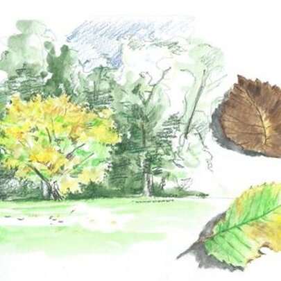 A watercolour sketch of trees and individual studies of two autumn leaves, in the margins on white paper.
