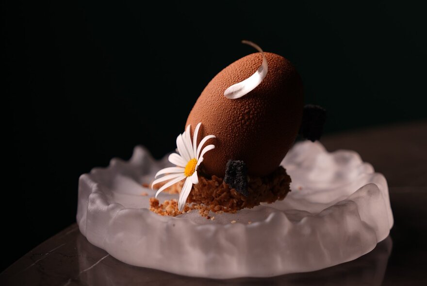 Chocolate cake creation with white daisy on ice tray.