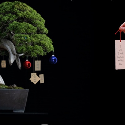 International Impro Mini Fest: The Wishing Tree