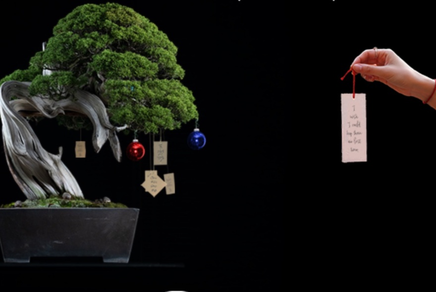 A hand on the right holding a written note,  with a small tree on the left with these written notes or wishes hanging from it, all against a black background.