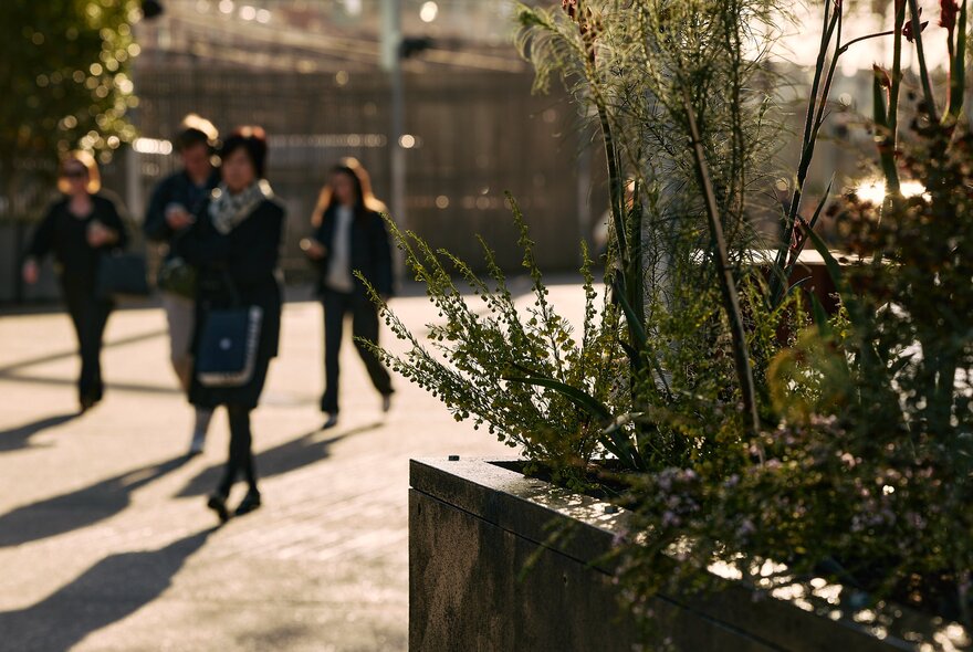 People walking past a public art installation in Melbourne with long planter pots and ferns. 