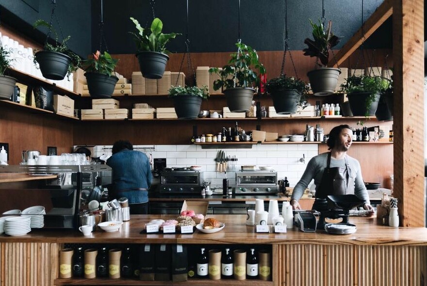 Cafe counter with lots of pot plants hanging above it.