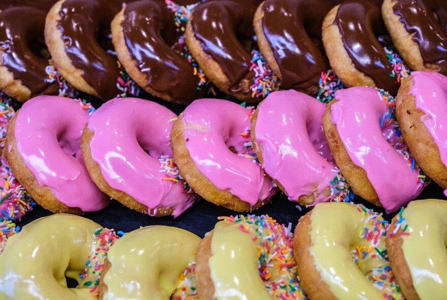 Rows of iced donuts with a sprinkling of hundreds and thousands on the icing. 