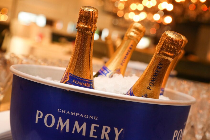 A blue champagne bucket filled with three gold-topped champagne bottles in ice.