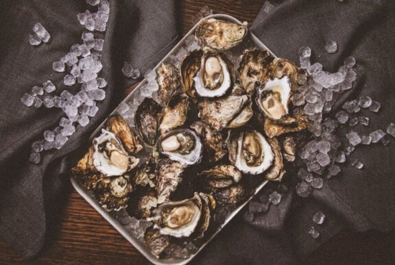 Tray of shucked oysters with shells on ice.