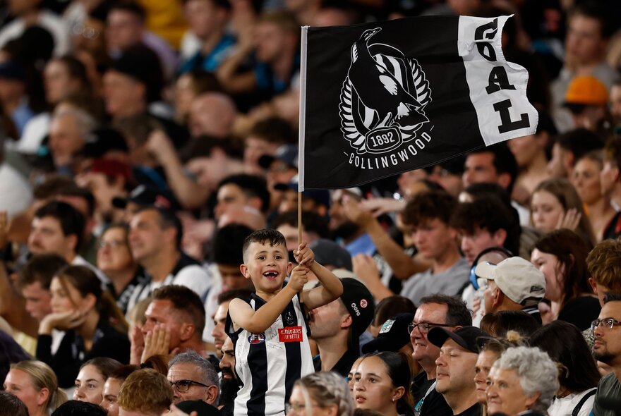 Collingwood AFL football fans with flags in the stands.