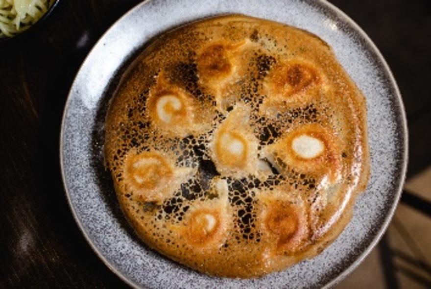 Bird's-eye view of pan-fried dumplings.