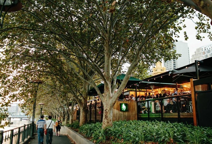 A bar surrounded by trees next to the river.