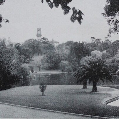 Vintage photo of the Royal Botanic Gardens showing lawns, trees, and ornamental lake from A. W. Jessep  'A Descriptive Guide to the Botanic Gardens Melbourne' of 1951.