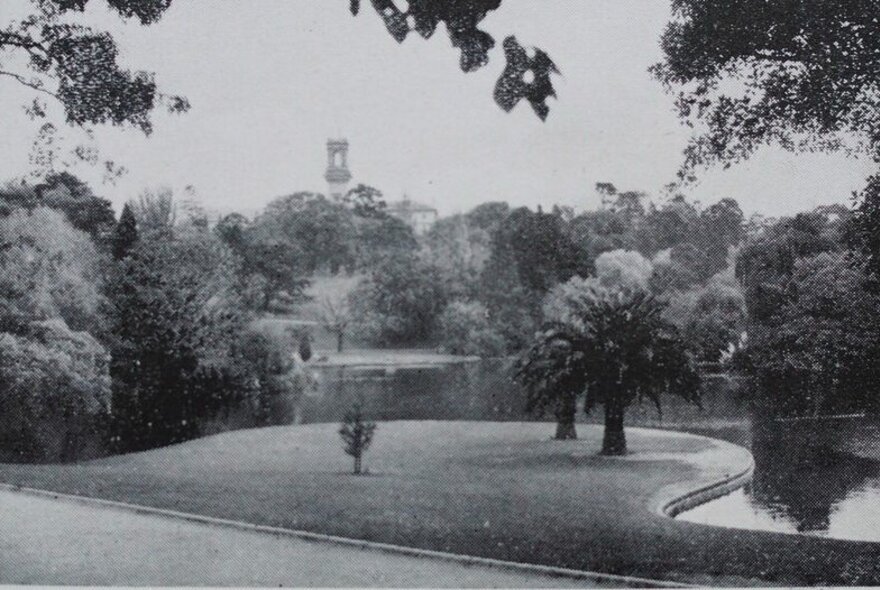 Vintage photo of the Royal Botanic Gardens showing lawns, trees, and ornamental lake from A. W. Jessep  'A Descriptive Guide to the Botanic Gardens Melbourne' of 1951.