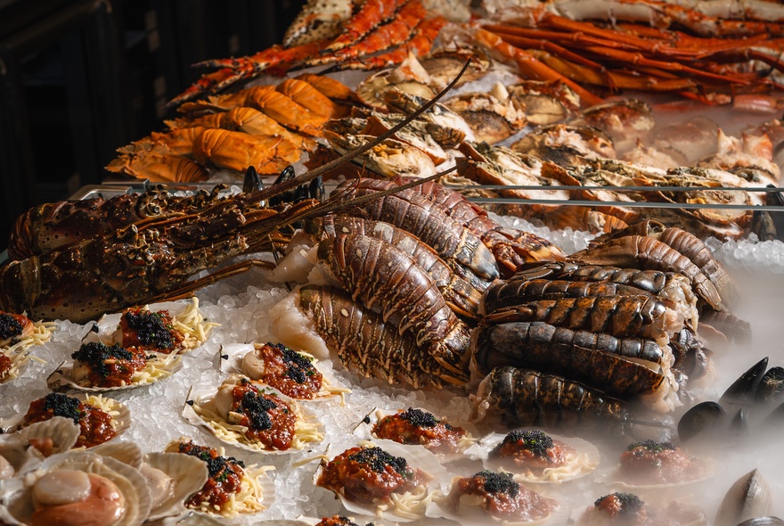 Rows of lobsters, prawns, oysters and other seafood resting on ice.