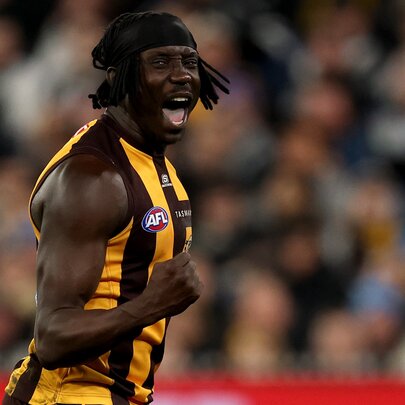 AFL Round 23: Hawthorn v Melbourne