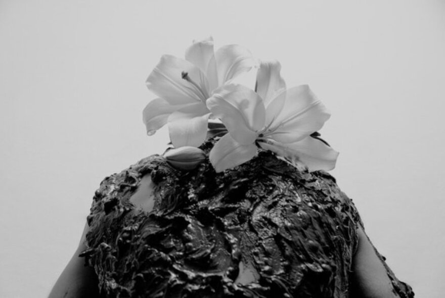 A black and white image of two flowers on a rock.