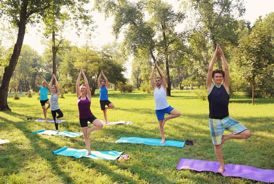 A group of people doing yoga on the grass in a leafy park.