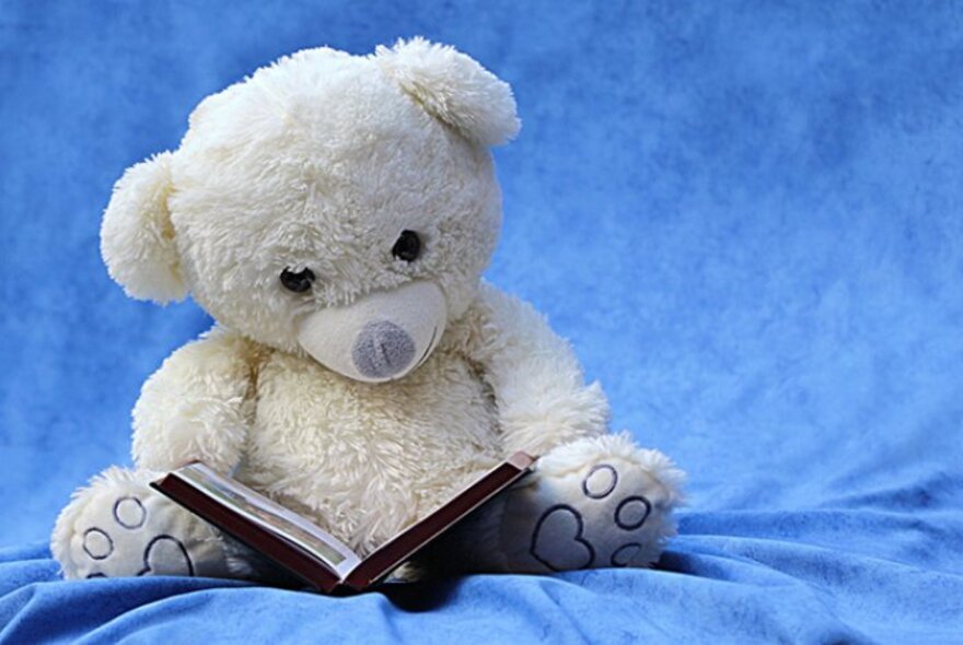 Plush teddy seated reading a book on blue fabric.