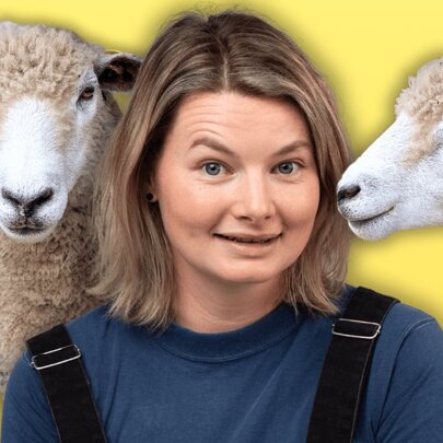 Raewyn Pickering: Sheepish