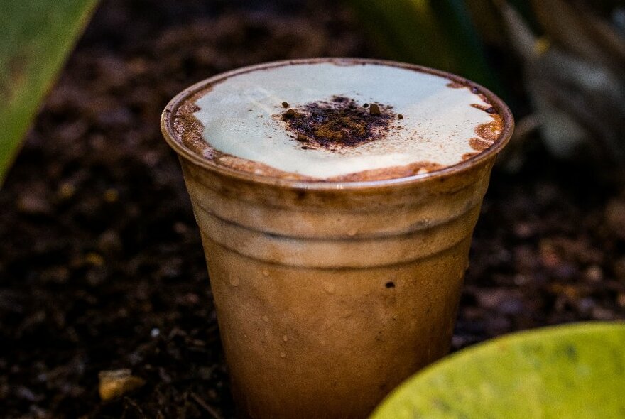 An frothy iced coffee in a takeaway plastic cup.