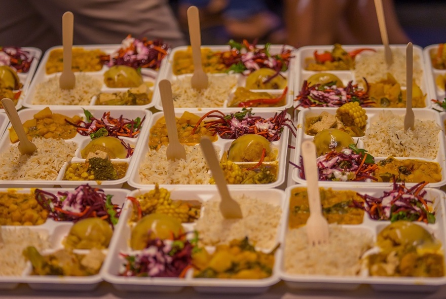 An array of meal trays with vegan food, including rice and curry.