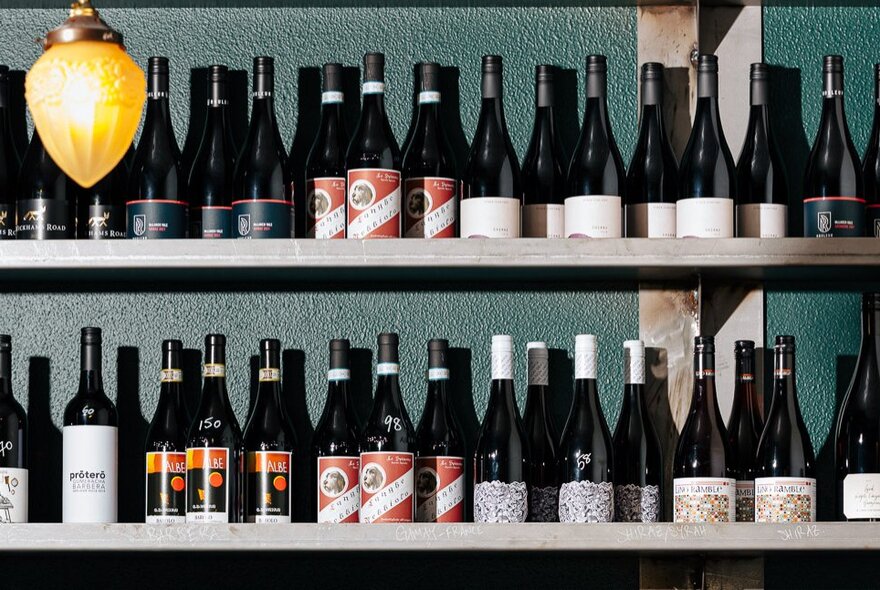 Two shelves completely laden with wine bottles.