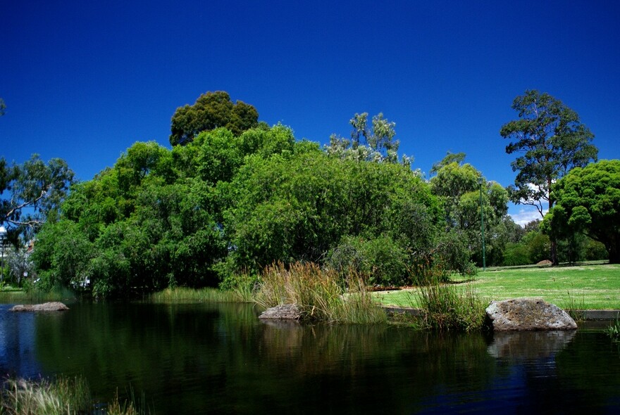 Lake and trees at Royal Park.