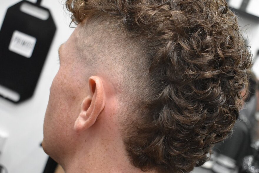 A view from behind of a fresh haircut in a barber shop with a high fade on curly hair. 