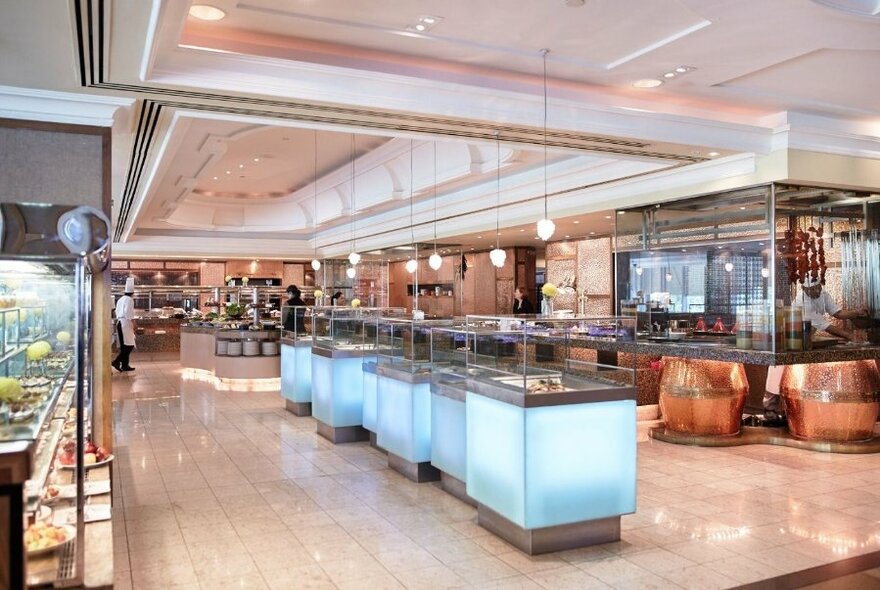 Tandoor oven in a modern, spacious restaurant.