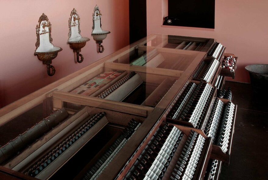 A display of Aesop products in wooden shelves  in a store setting with three fonts on the putty coloured walls