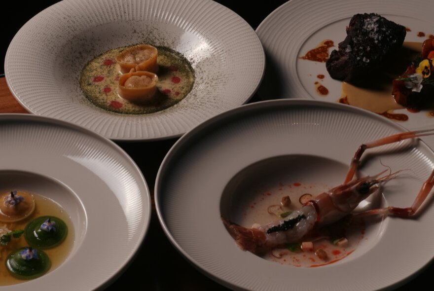 Four plates of food, including one with a full lobster, clustered together on a table.