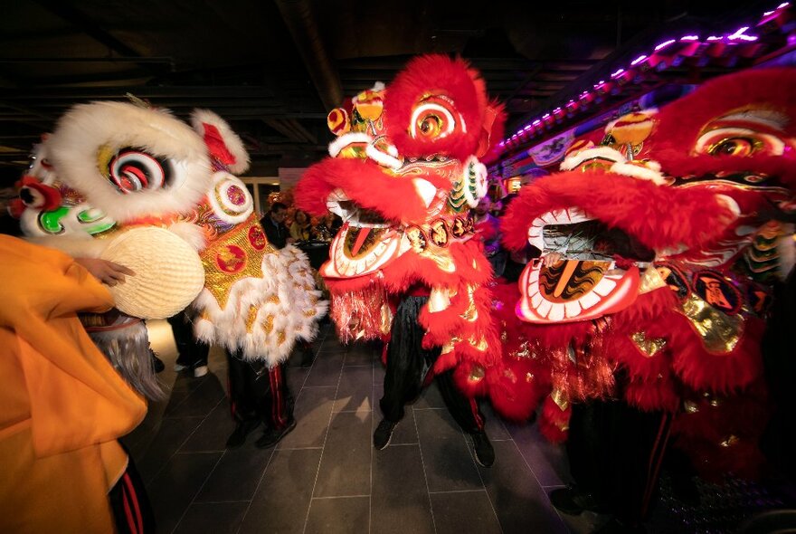 Chinese New Year lion dance parade with white and red costumes at night.