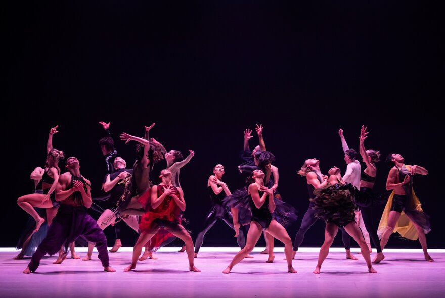A large group of dancers from the Sydney Dance Company captured in dynamic poses on a stage with a dark background and purple lighting. 