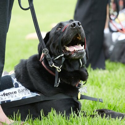 Last Post Service: National Day for War Animals