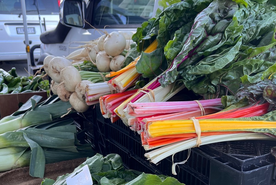 Fresh vegetables on display at a stall at a Farmer's Market.