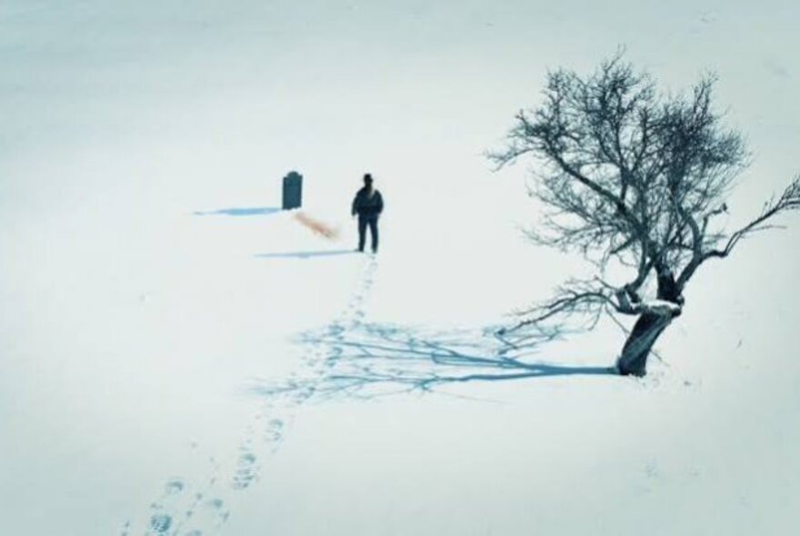 A still from a film showing a man walking in the snow, a single tree visible and footprints. 