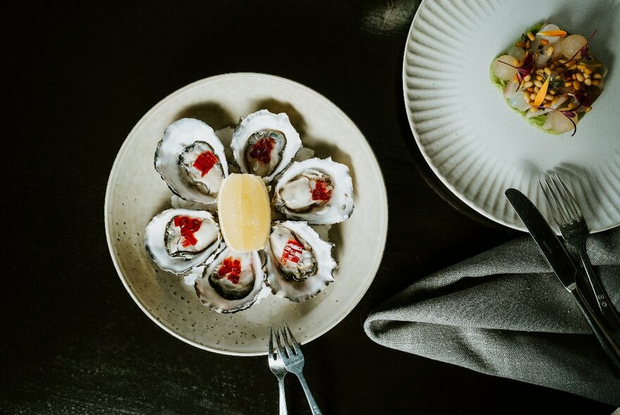 Overhead view of a plate of oysters with small forks on a dark table top, and another white dish with food and a cloth napkin alongside.