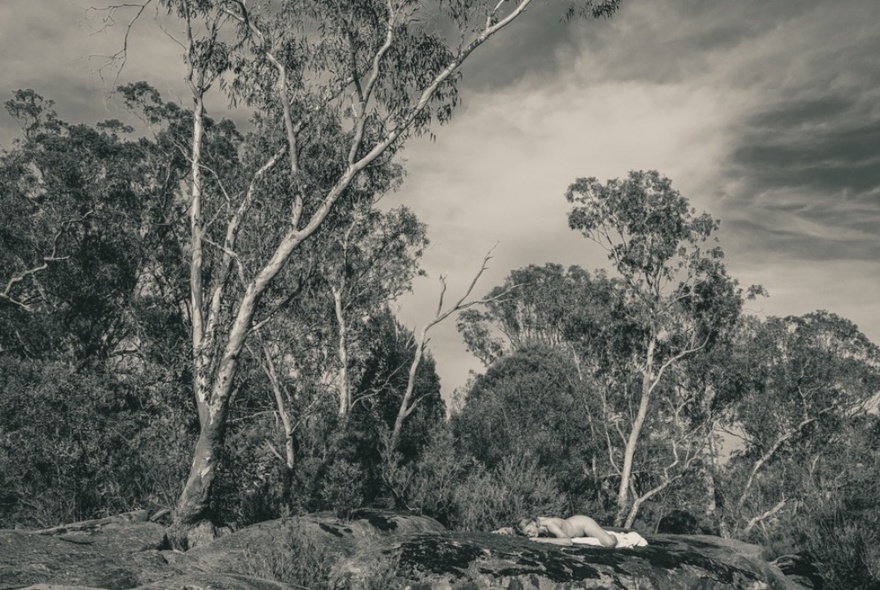 Bush landscape art photo of gums against clouds.