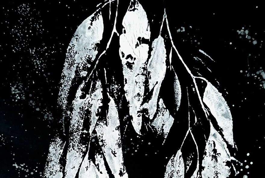 A high-contrast, black and white image of several large, broad leaves with a speckled texture.