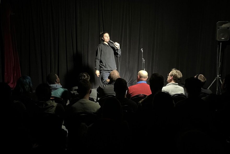 A comedian on stage, audience seen from behind.