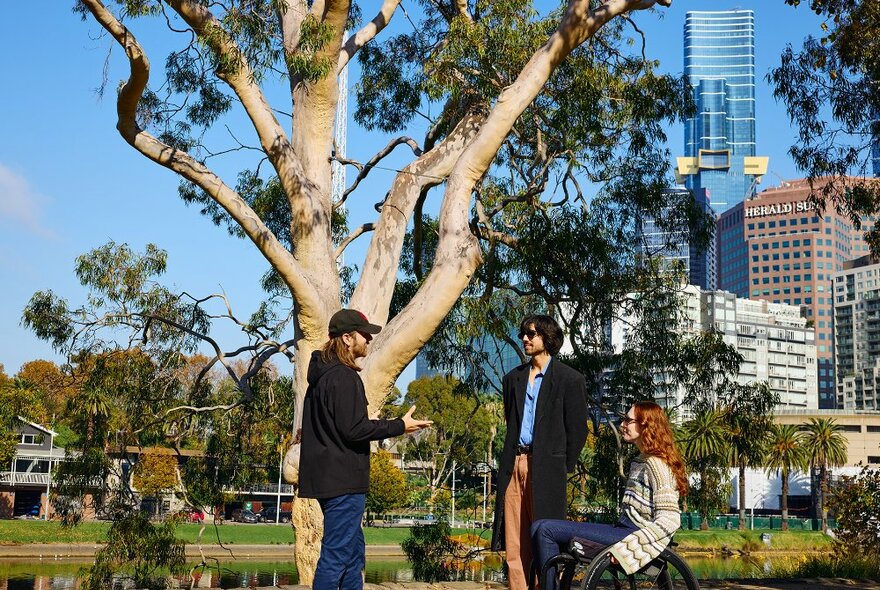 A guide talking to two people by a gumtree next to the Yarra River in the Melbourne CBD. The woman is using a wheelchair.