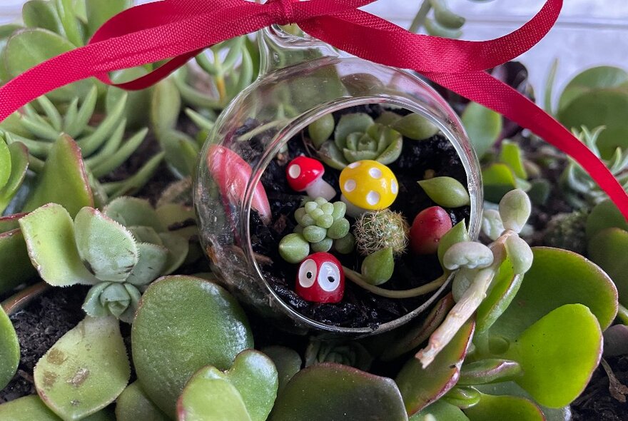 A small Christmas-themed glass terrarium on a bed of succulents.