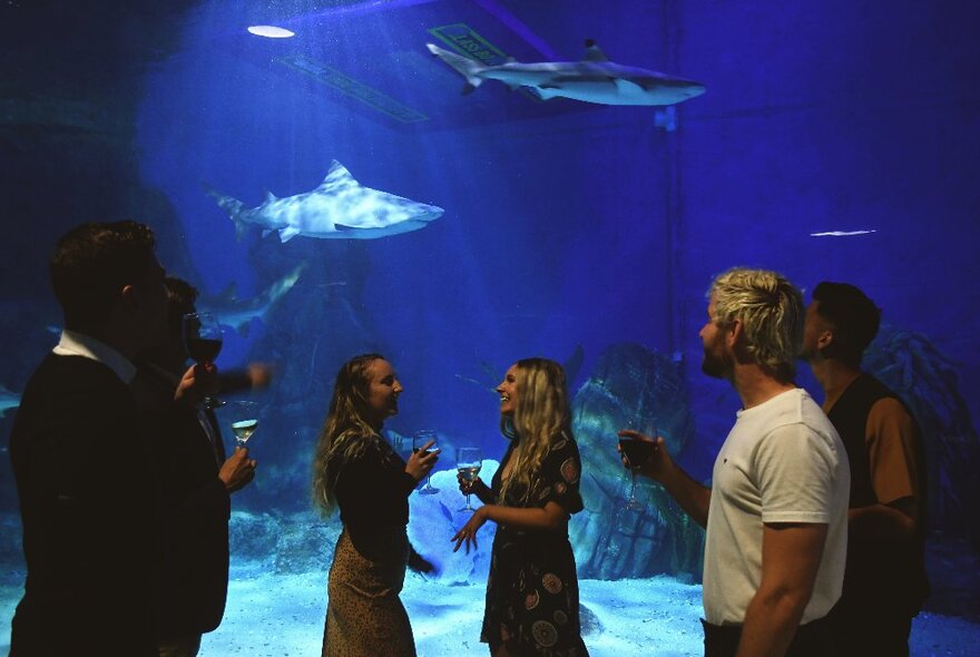 People socialising in an aquarium with sharks in the background. 