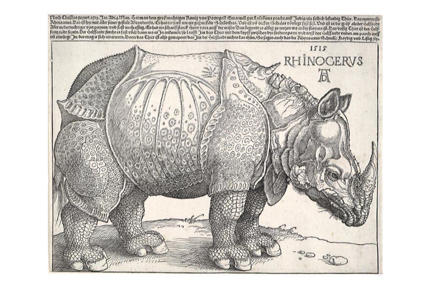 Historical technical drawing of a rhinoceros by Albrecht Dürer.