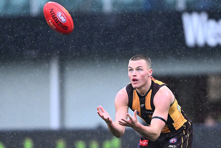 Hawthorn AFL football player catching a red ball during a game.