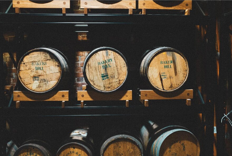 Oak barrels resting on shelves in a cellar.