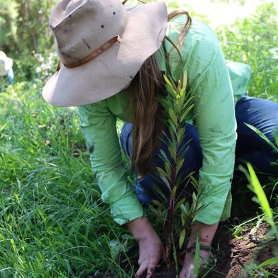 Planting Party: A Day of Community Action and Celebration