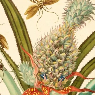 Regency textile design with pineapple and bugs.
