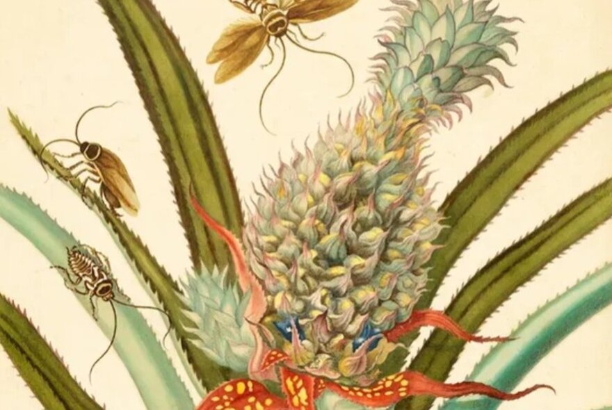 Regency textile design with pineapple and bugs.