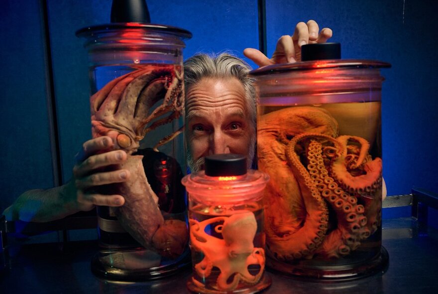 A person's head peering out from behind three large jars of organic museum specimens preserved in liquid.