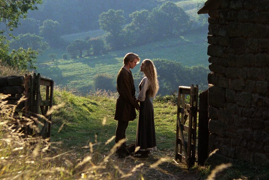 A still image from the movie The Princess Bride showing a couple standing face-to-face in a rural setting. 