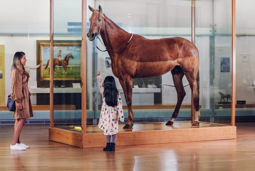 An adult and child looking at the horse Phar Lap on display inside a glass cabinet at the Melbourne Museum.